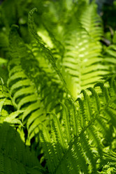 Similar image 21386382