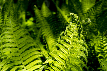 Similar image 21386384