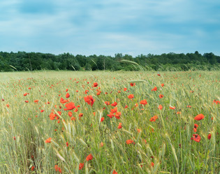 Similar image 21386387