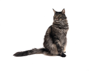 Similar image 21386389