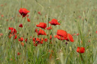 Similar image 21386397