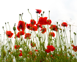 Similar image 21386399