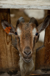 Similar image 21386401