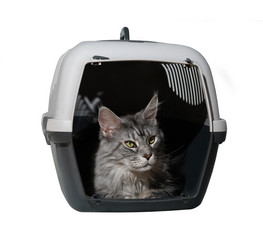 Similar image 21386402