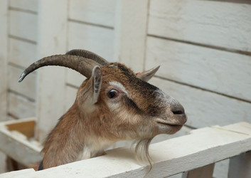 Similar image 21386408