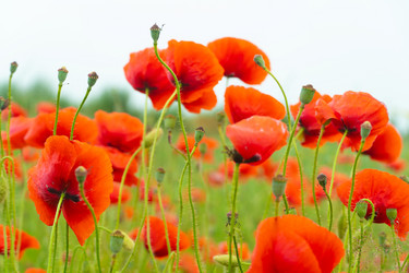 Similar image 21386409