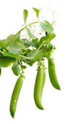 Similar image 21386415