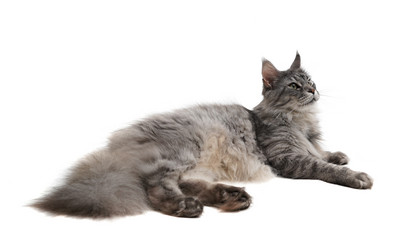 Similar image 21386426