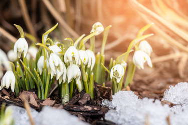 Similar image 21386436