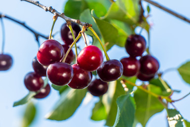 Similar image 21386443