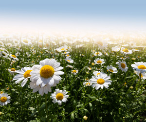 Similar image 21386448