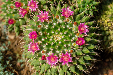 Similar image 21386449