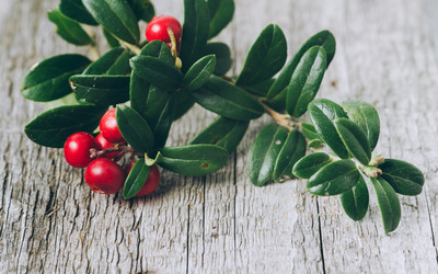 Similar image 21386454