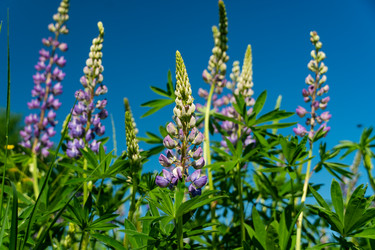 Similar image 21386467