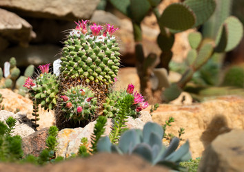 Similar image 21386469