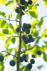 Similar image 21386709