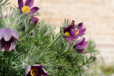 Similar image 21386712