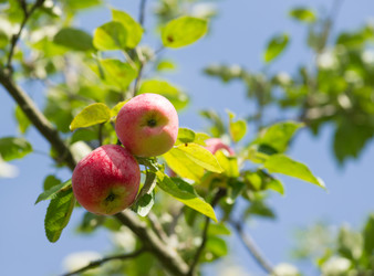 Similar image 21386716