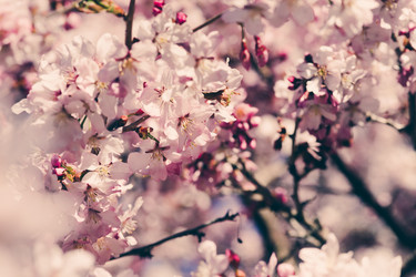 Similar image 21386731