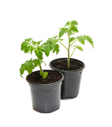 Similar image 21386732