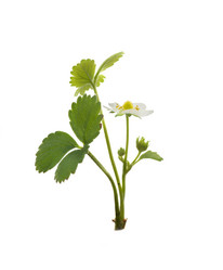 Similar image 21386175