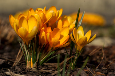 Similar image 21386176