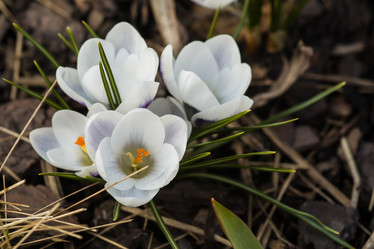 Similar image 21386177