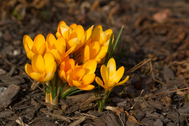 Similar image 21386473