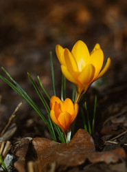 Similar image 21386474