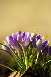 Similar image 21386475