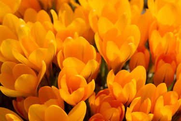 Similar image 21386476