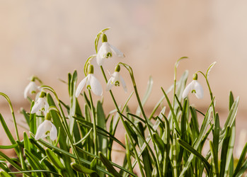 Similar image 21386477