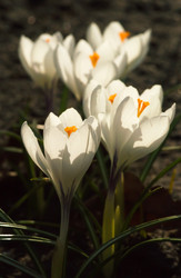 Similar image 21386478