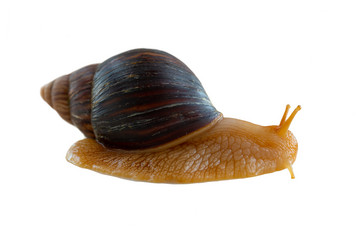 Similar image 21386479