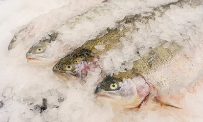 Similar image 21386480