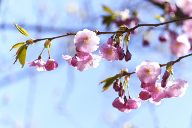 Similar image 21386495