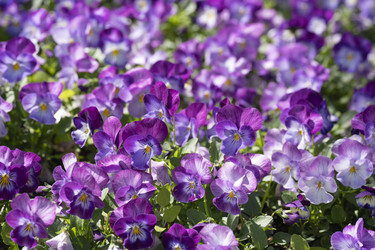 Similar image 21386497