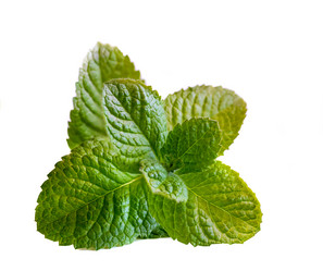 Similar image 21386498