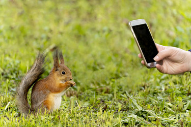 Similar image 21386499