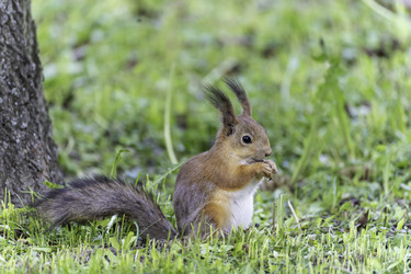 Similar image 21386503