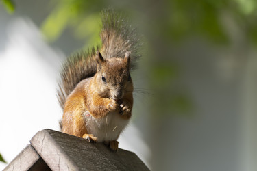 Similar image 21386505