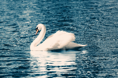 Similar image 21386509