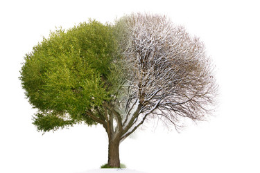 Similar image 21386511