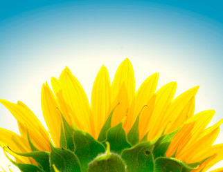 Similar image 21386514