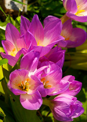 Similar image 21386516