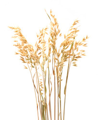 Similar image 21386520