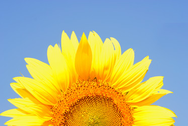 Similar image 21386521