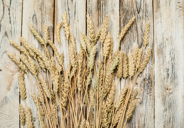 Similar image 21386524