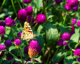 Similar image 21386525