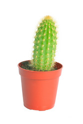 Similar image 21386527